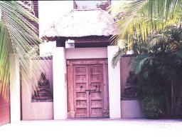 antique-doors-22